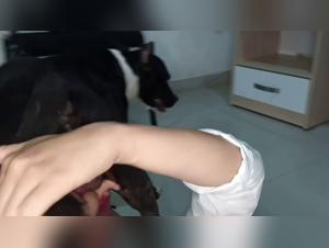 Animal Bestiality: Marie's Slutty Sex