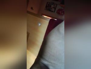 Bitch with a thick coat and mistress in heat: French bulldog in a wild fuck session