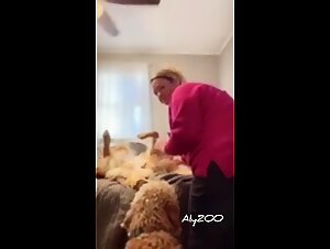 Tier porno con mujeres y sus perros: Tickzoo TV