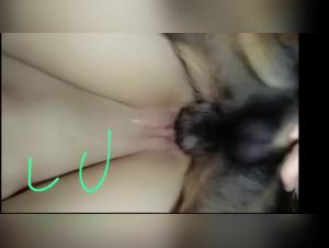 Bestiality Hardcore