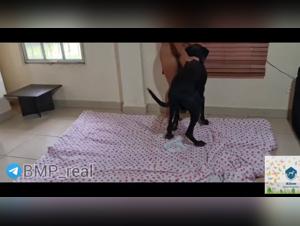 Mia: L'ossessione del cane