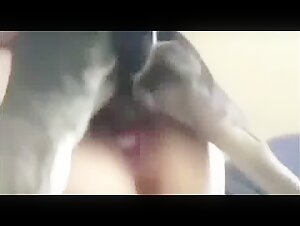 Solo en casa