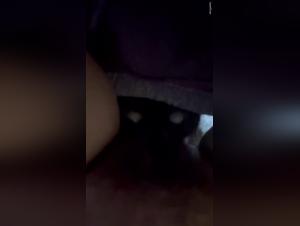 New Play: Dog, Licking, Exploring Pussy