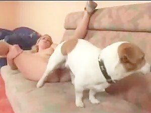 perra sumisa a un perro