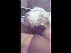 Canine Delights: Forbidden Pleasures