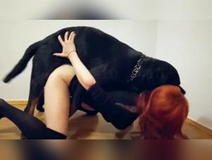 Des désirs de pornozoo et salaces folles : le pornozoologue Denies Fraizer