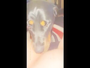 Intimate Moment: Dog and Mistress