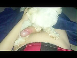 My dog   licks me