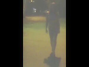 Nackter Spaziergang mit einem Hund