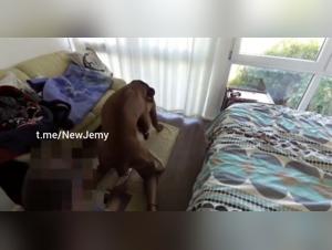 Eckzahn und Creampie Fuck: Ein tierischer Orgasmus