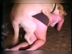 Pet Scams: Broken Taboos in Action