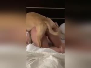 Animal Sex: Forbidden Scenes Spun