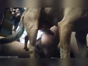 Puppy Playmate: She gives him everything, sucks and teases for her pleasure