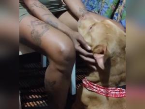 Bestiality Homemade: Canine domination without limits