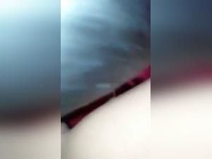 Zoofilia sin limites: Un chihuahua se apodera de una adolescente
