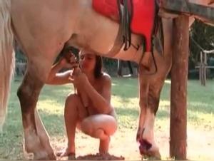 Brazilian Horses and Debauched Sluts: Unusual Erotic Orgies