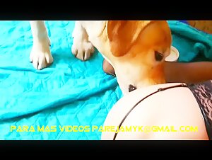 She passionately fucks a dog