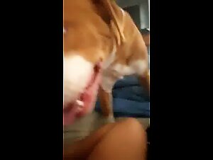 Beassetality: la puttana succhia forte il suo cane