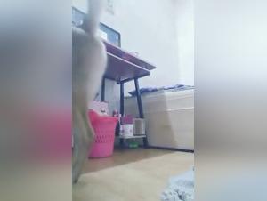 Diabolical Delights: Raw Animal Pleasure