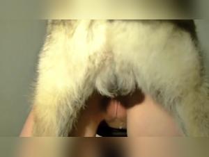Animal delicacies: the art of zoophilia