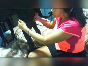 Unleashing Dog Zoophilia Desires: Exclusive Encounters