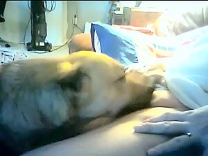 Perro lame a una mujer madura