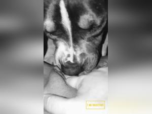 Débauche Animale : La Passion Obsédante d'une Salope et son Chien