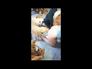 Orgies Bestiales Asiatiques: La Gloire Canine & la Soumission Féminine