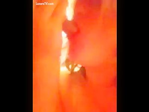 Extreme canine blowjob