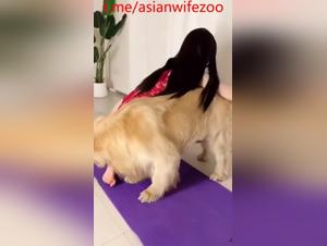 Fetichismo canino: la esposa asiatica se entrega
