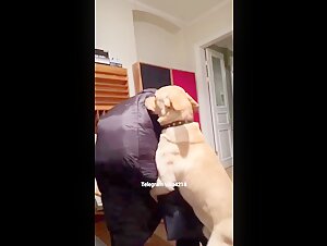 Donna e cane: un incontro appassionato