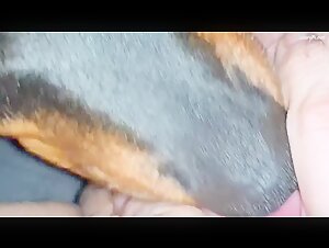 Intimate Moment with a Dog