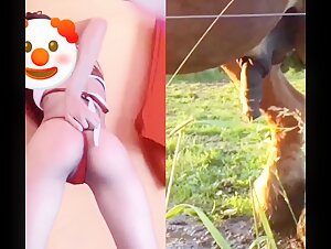 Donna e cavallo in uno scioccante collage zoofilo