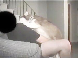 Intimate Moment with a Dog