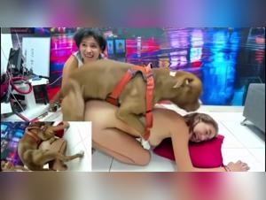 Taboo bestiality: xxx animal sex