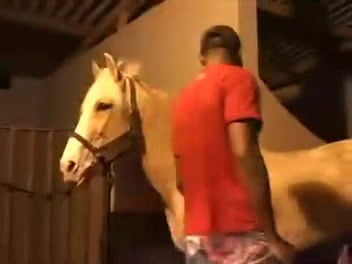 Erotic Ritual: I Unleash My Obscene Desires on a Stallion