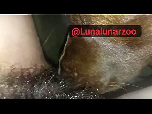The slut lets herself be dominated by her dog