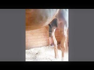 Caballo en excitacion repentina