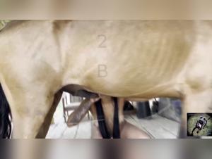 Bestialidad francesa: esposa follando con perro - Tickzoo.com