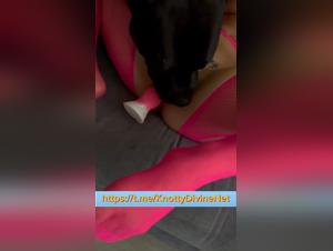 Albero Lunive infelice di sesso canino