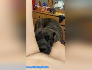 Animal Fucking: Dog Devours a Woman's Pussy Without Restraint