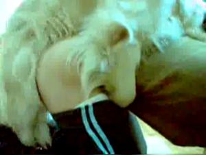 Crazy Horse 7: Fetisch-Ausschweifung mit Frau und Hund