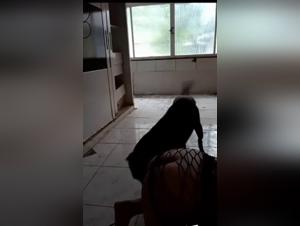 Evening of canine pleasure: Intense animal fuck