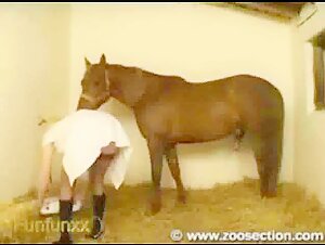 Femme blonde suçant la bite d'un cheval