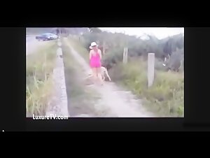 Dog having fun at the beach
