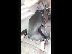 PORTAL ZOO GROUP - Discover exciting bestiality videos