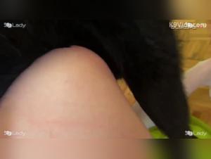 Brutal zoophilia: female dog fucked by her canine master