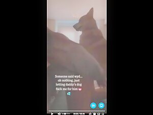 Sexo con un perro: una experiencia bestial