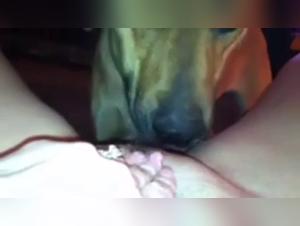 His fervor for that big pussy sets passions ablaze