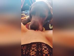 Animal exploitation: Kutyam raped by merciless dog